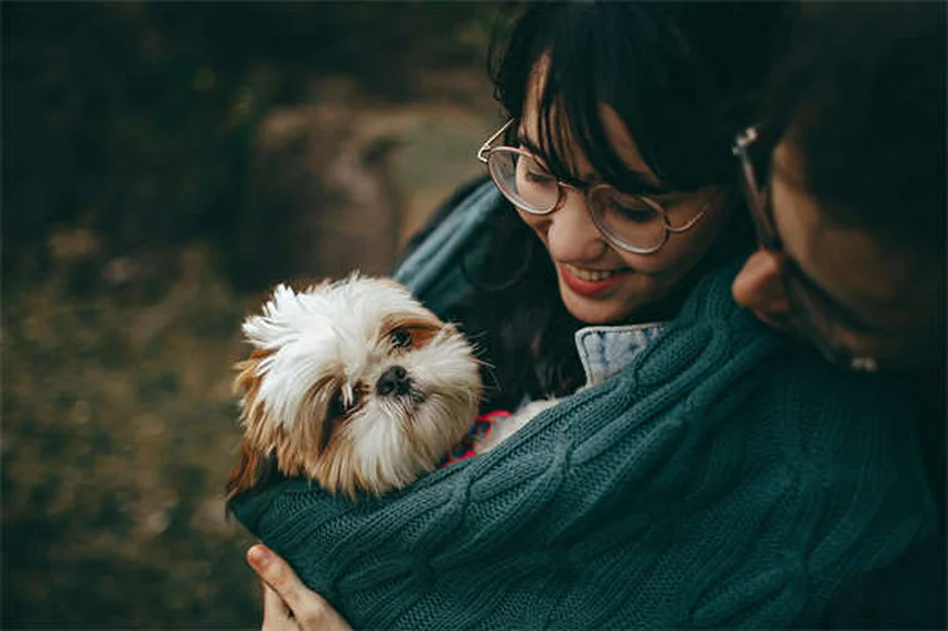 Is Pet Insurance Worth It? 5 Surprising Facts That'll Save You Thousands